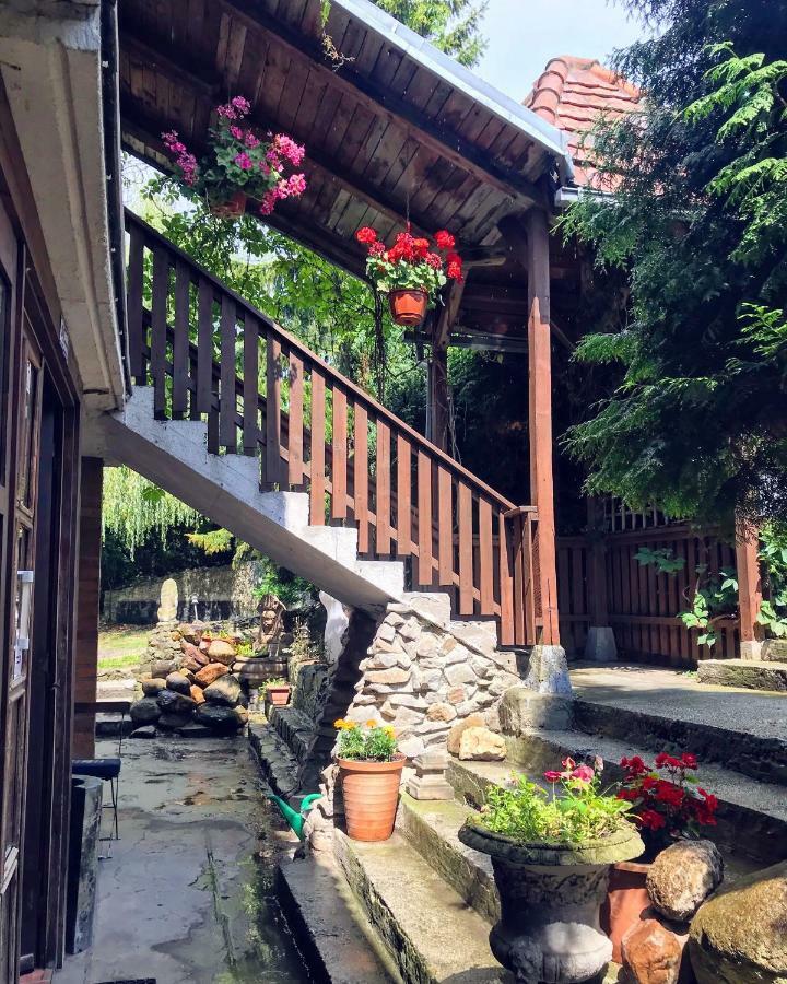 Dworek Adamski Walbrzych Exterior photo